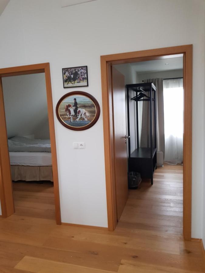 Efri-Gegnisholar Ξενοδοχείο Σέλφος Εξωτερικό φωτογραφία
